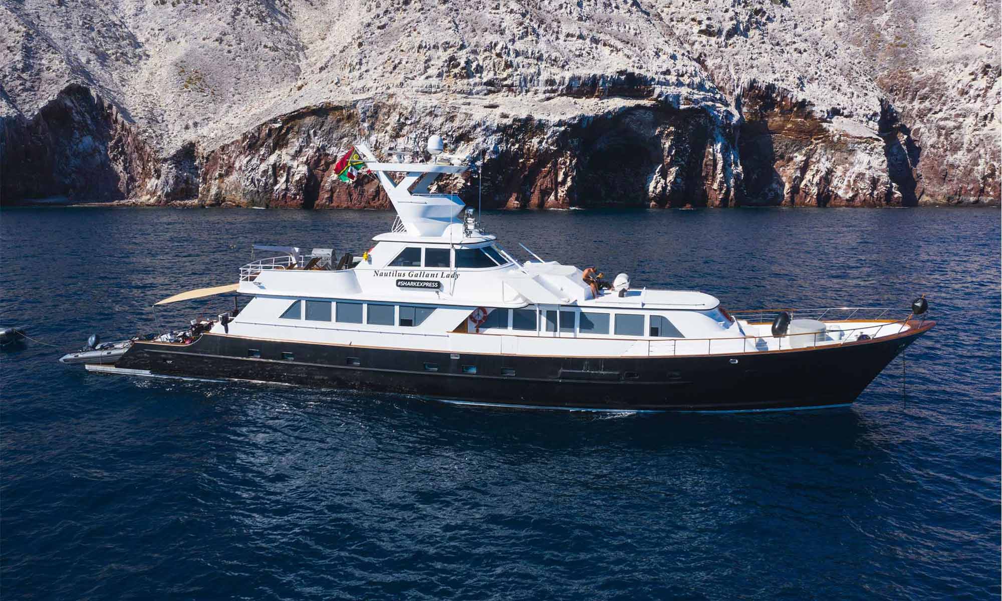 Nautilus Gallant Lady in the sea of Cortez