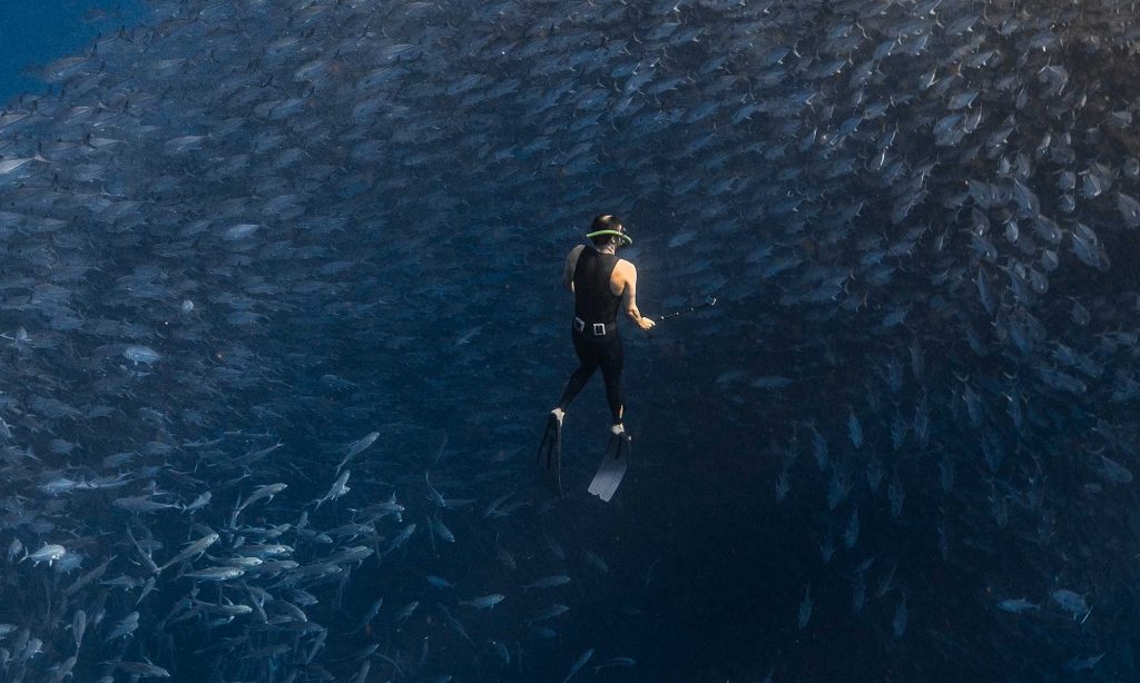 Sea of Cortez expedition aboard the Mango Wind